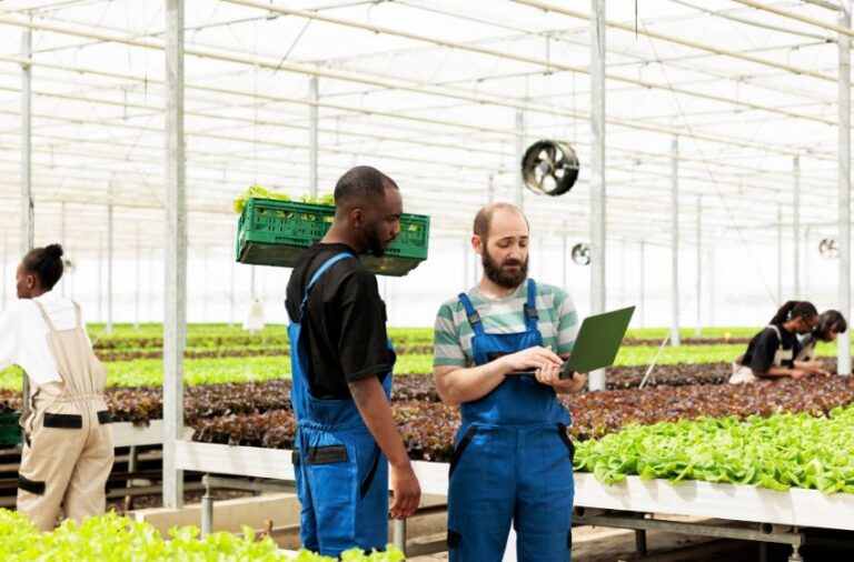 Embracing mechanisation in South Africa’s agriculture sector to meet growing demands
